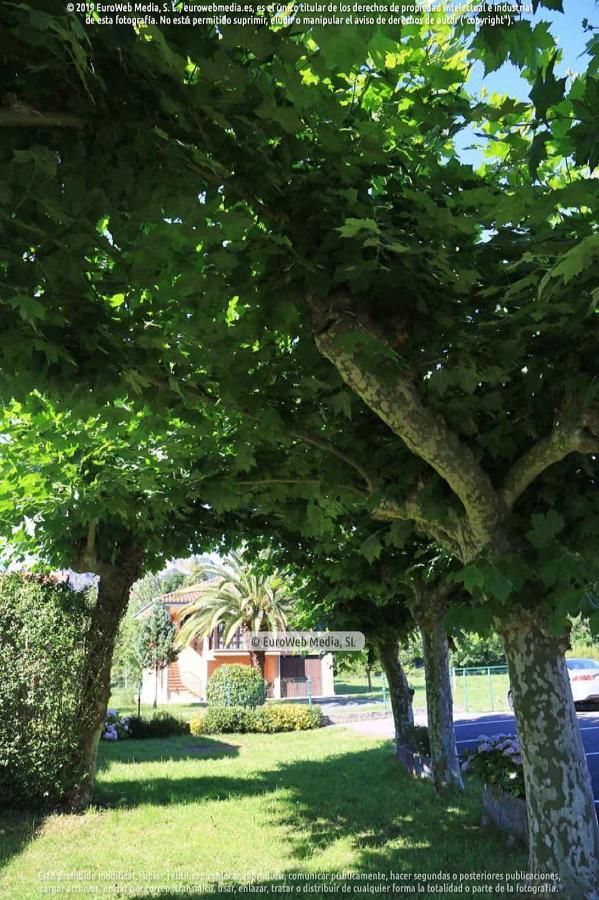 El Puentin Del Sella Con Wifi Y Parking Gratuito Lägenhet Onís Exteriör bild