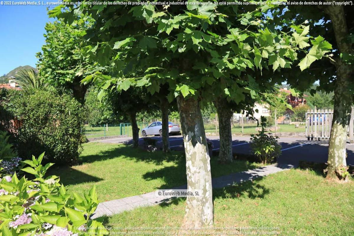 El Puentin Del Sella Con Wifi Y Parking Gratuito Lägenhet Onís Exteriör bild